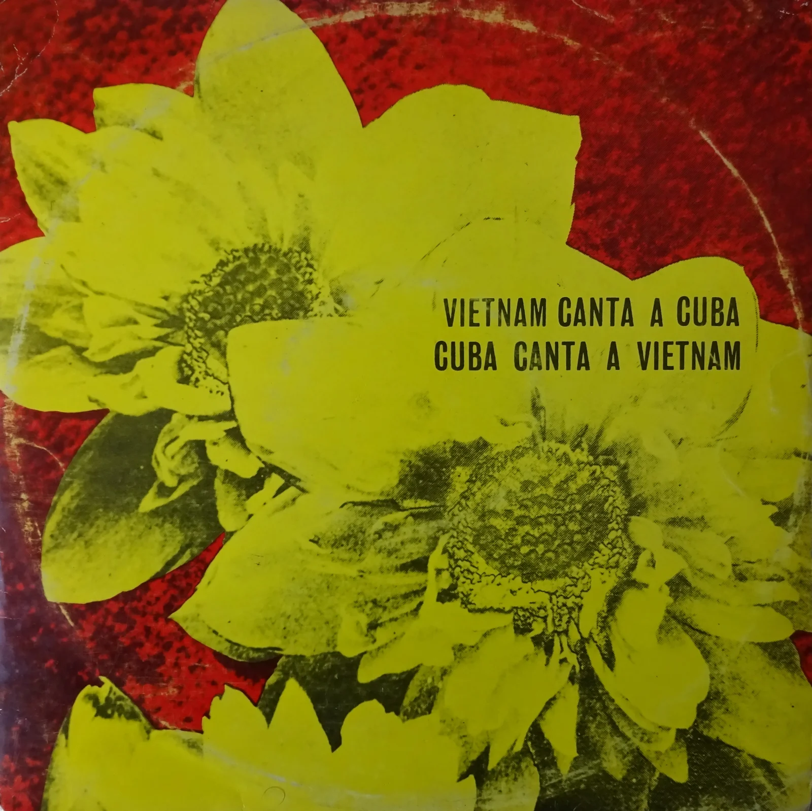 Cuento para un niño – Omara Portuondo (Sleeve (front))