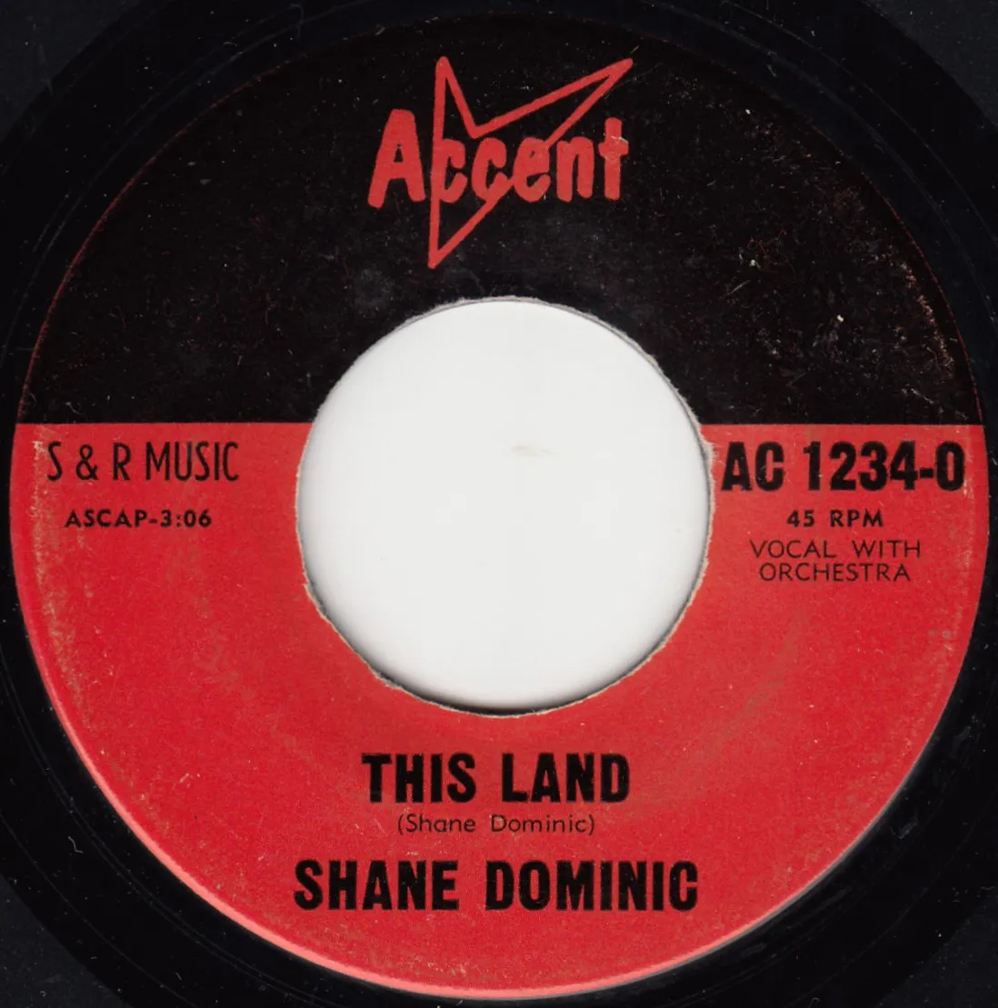This Land – Shane Dominic (A-side label)